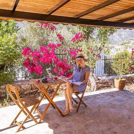 Sunshine, Peninsula *